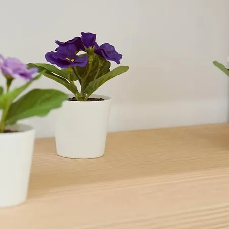 La Preziosa Duomo アパート ナポリ